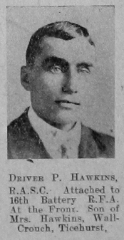 P Hawkins