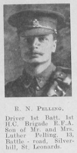 R N Pelling
