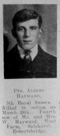 Albert Hayward