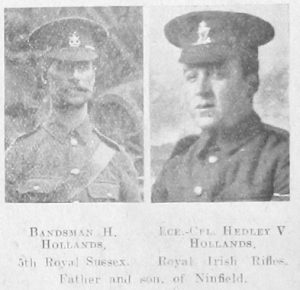 Hollands