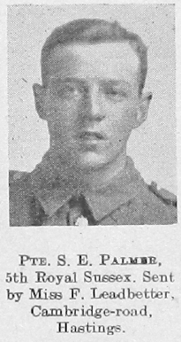 S E Palmer