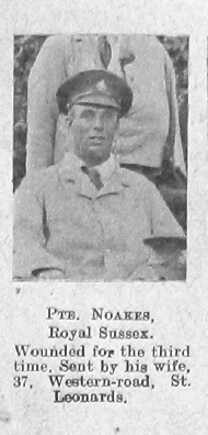 Noakes