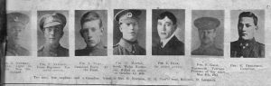 Newman, Numa, Martin, Gale & Fergieson