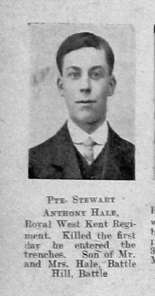 Stewart Antony Hale